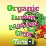 Organic Farming Pros and Cons: A Quick Overview