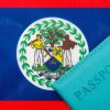 Online Immigration System for Belize Travelers: Key Insights