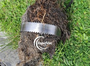 Vac Trucks for Removing Tree Roots from Blocked Drains