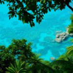 Belize 2025: Experience Rainforests and Reefs This Winter