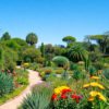 Botanical Gardens: Discovering San Miguel de Allende’s Hidden Gem