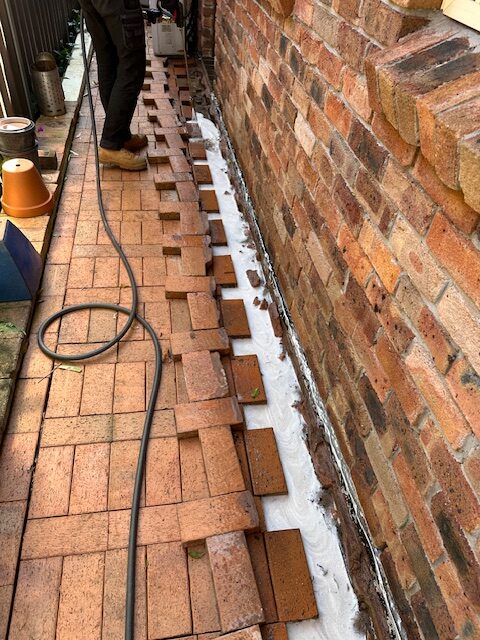 Termite Reticulation Systems for Effective Sydney Protection