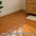 Terracotta Tile Resealing: Top Tips and Timing Insights