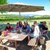 Wine Experience at Yarrawood Estate: Discover Perfection