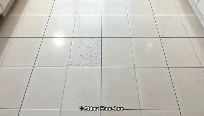Grout Sealing Methods for Lasting Protection and Durability