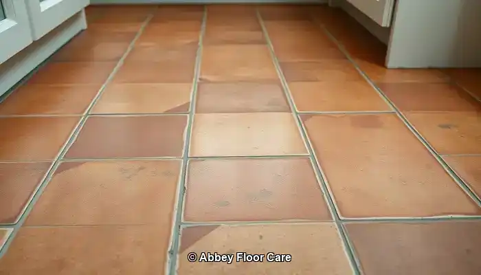 Identify the Key Factors Causing Rapid Dirt Accumulation on Terracotta Floors
