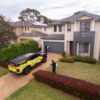 Pest Control Solutions for a Bug-Free Home Environment