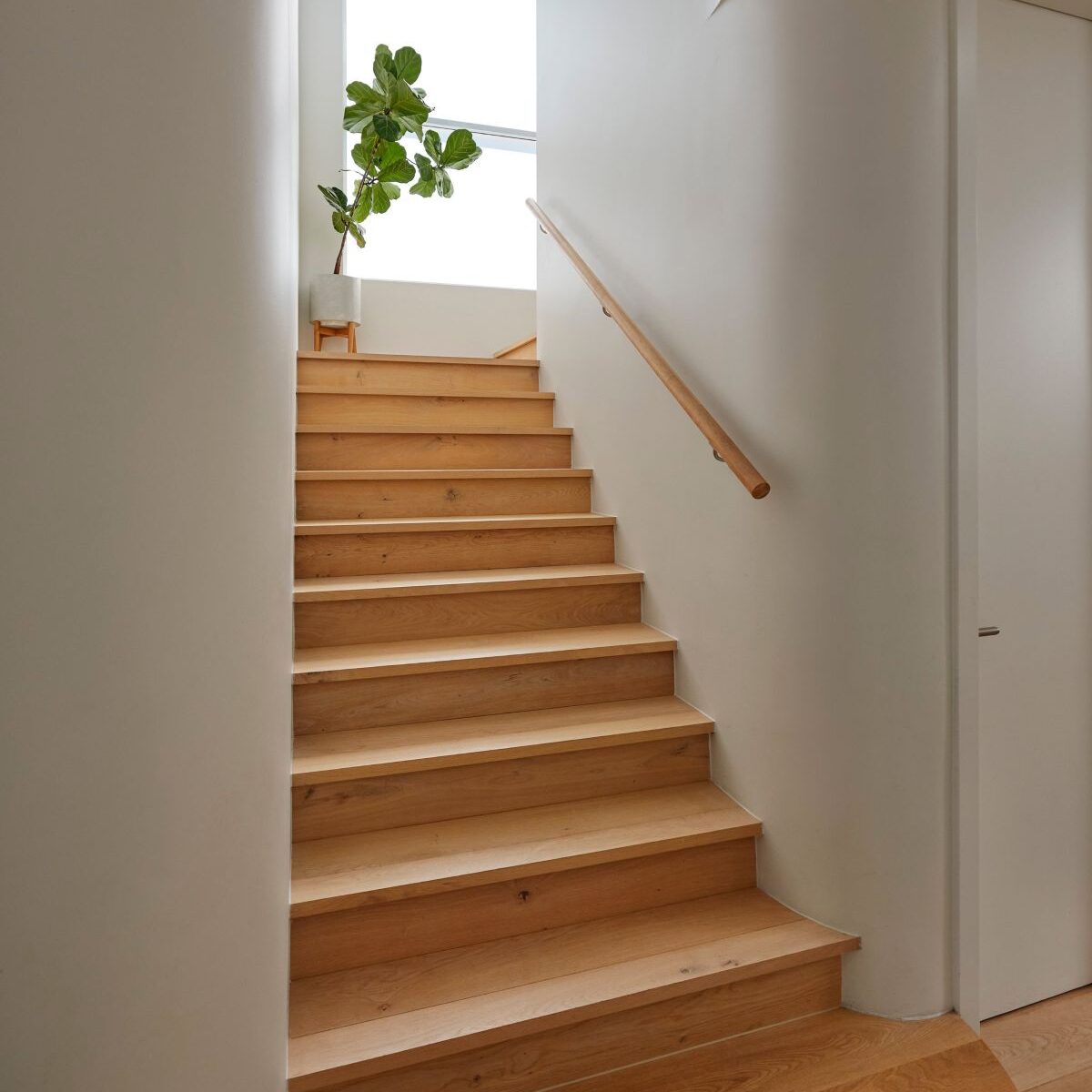 Malabar Builder Luxury Home